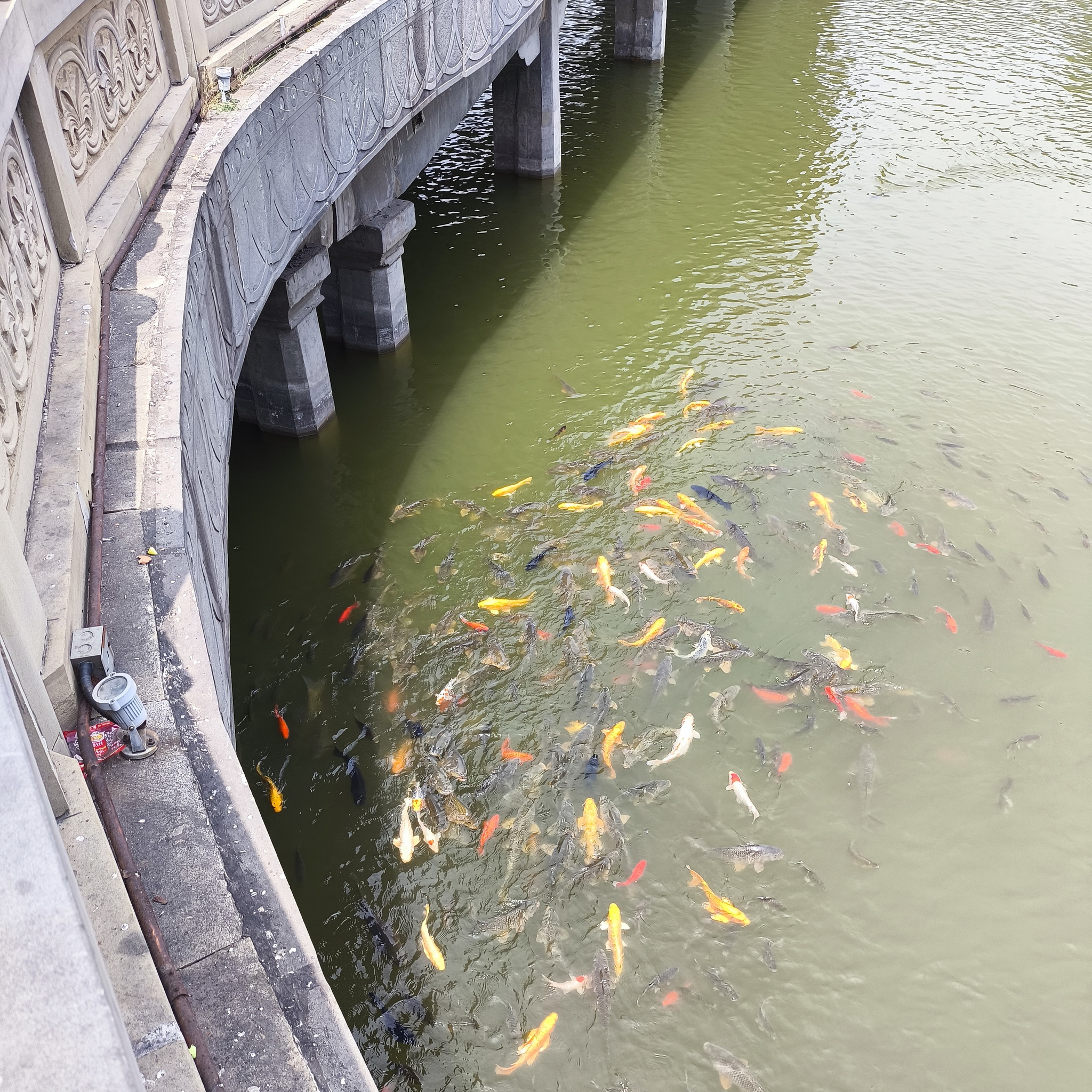 Diary of a trip to Melanesia. China. Day 19. Yungang Grottoes - My, Life stories, Travels, Drive, Hitch-hiking, Good people, China, Around the world, Grotto, Caves, Informative, Buddhism, Туристы, Video, Longpost