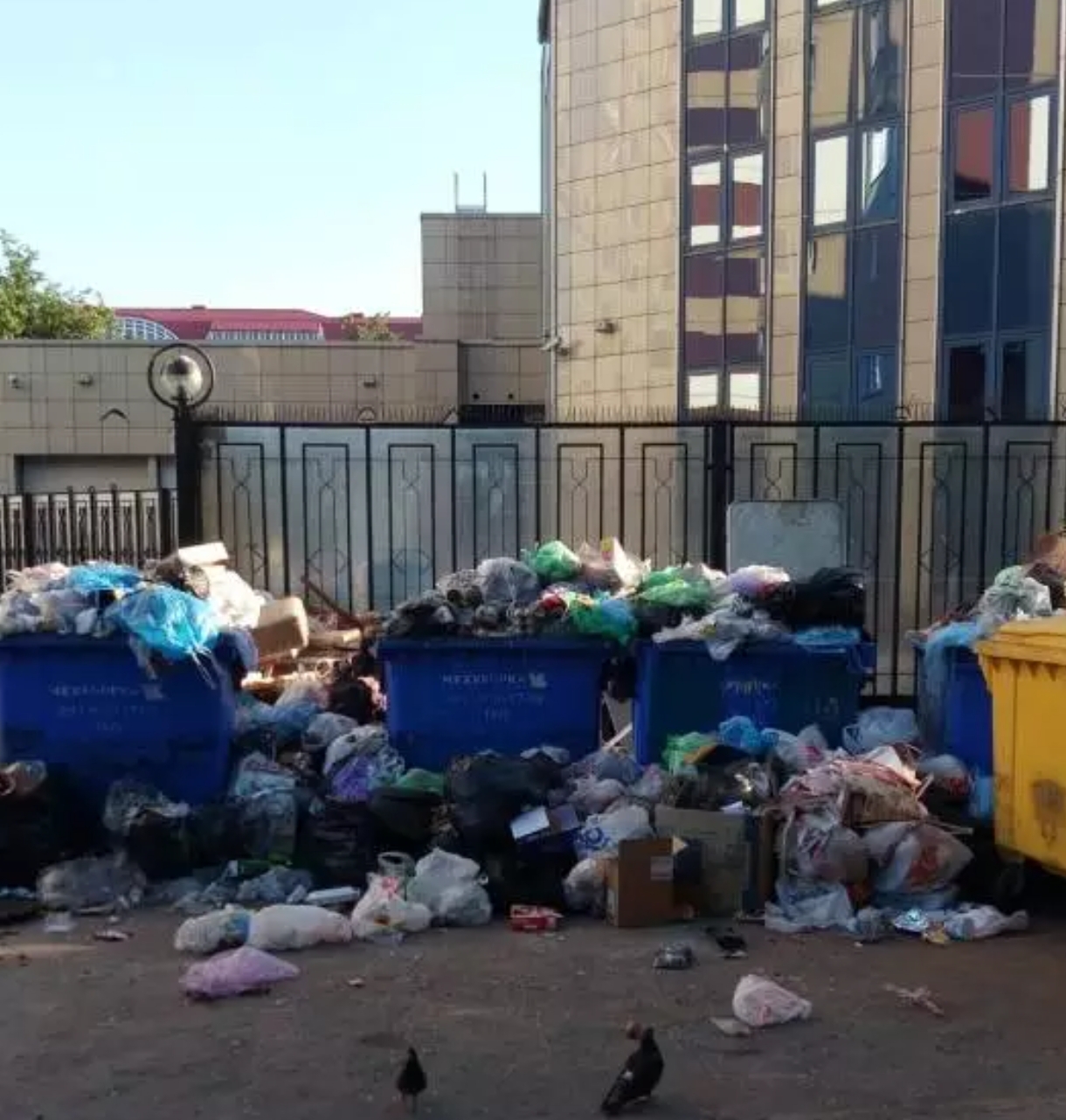 “No matter what yard you look into, there are mountains of stinking garbage” - Pskov residents again received a harsh ultimatum from the garbage sorter - Pskov, Garbage collapse, Indifference, Negative, Garbage reform, Financial problems, Stench, Suffering, Dispute, Longpost, Trash heap