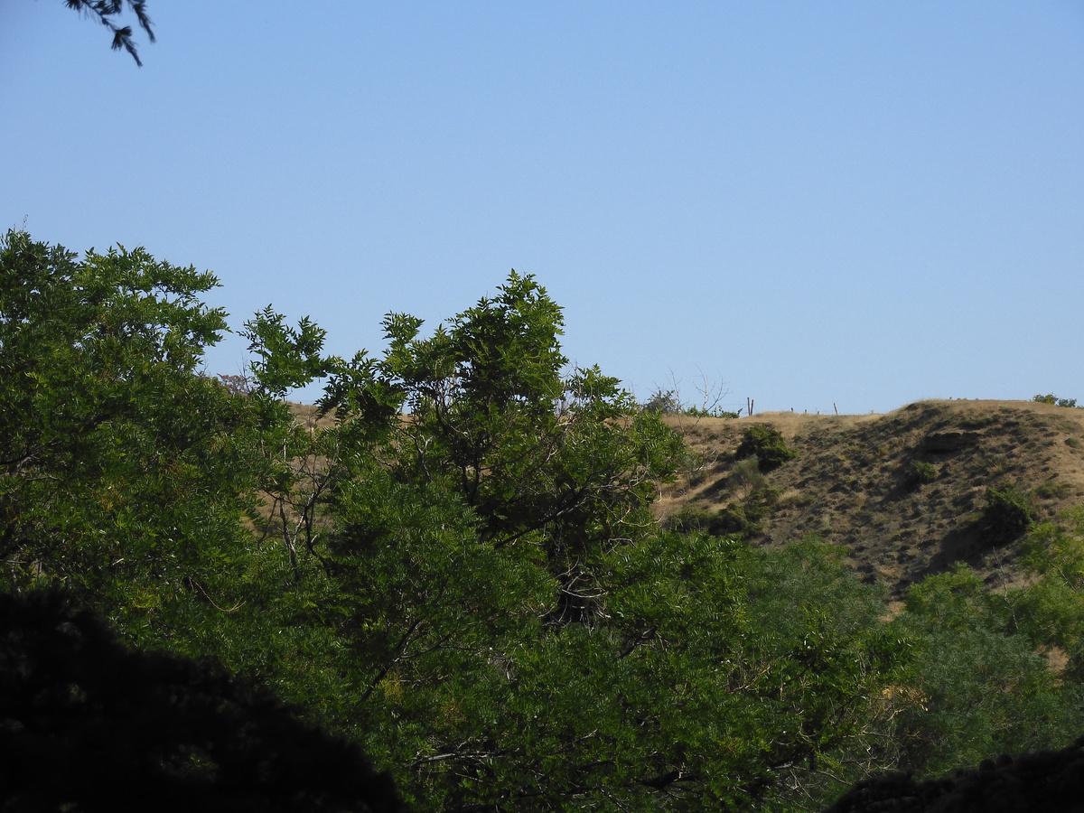 We returned from Crimea. We show the truth about holidays in Crimea. Hotel Atelika Horizon Sudak, Crimea. Photo selection of a gorgeous view from the hotel - My, Travels, Vacation, Crimea, The city of Sudak, Hotel, Longpost, The photo