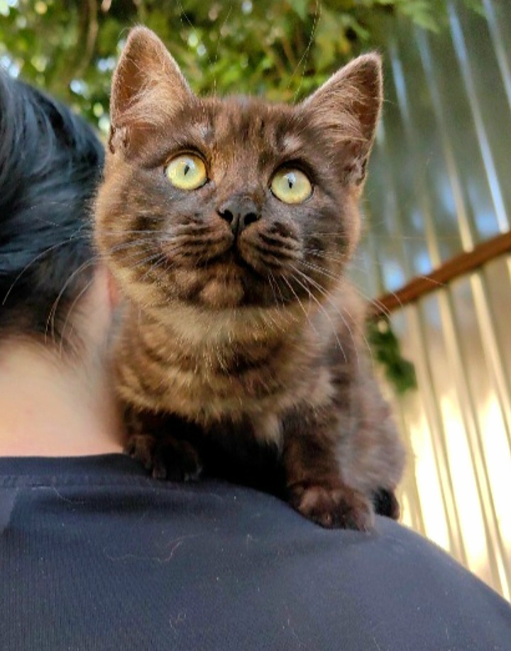 Налетай. Разбирай. Воронеж. Переход Воронежского рынка. С 14-18 часов ...