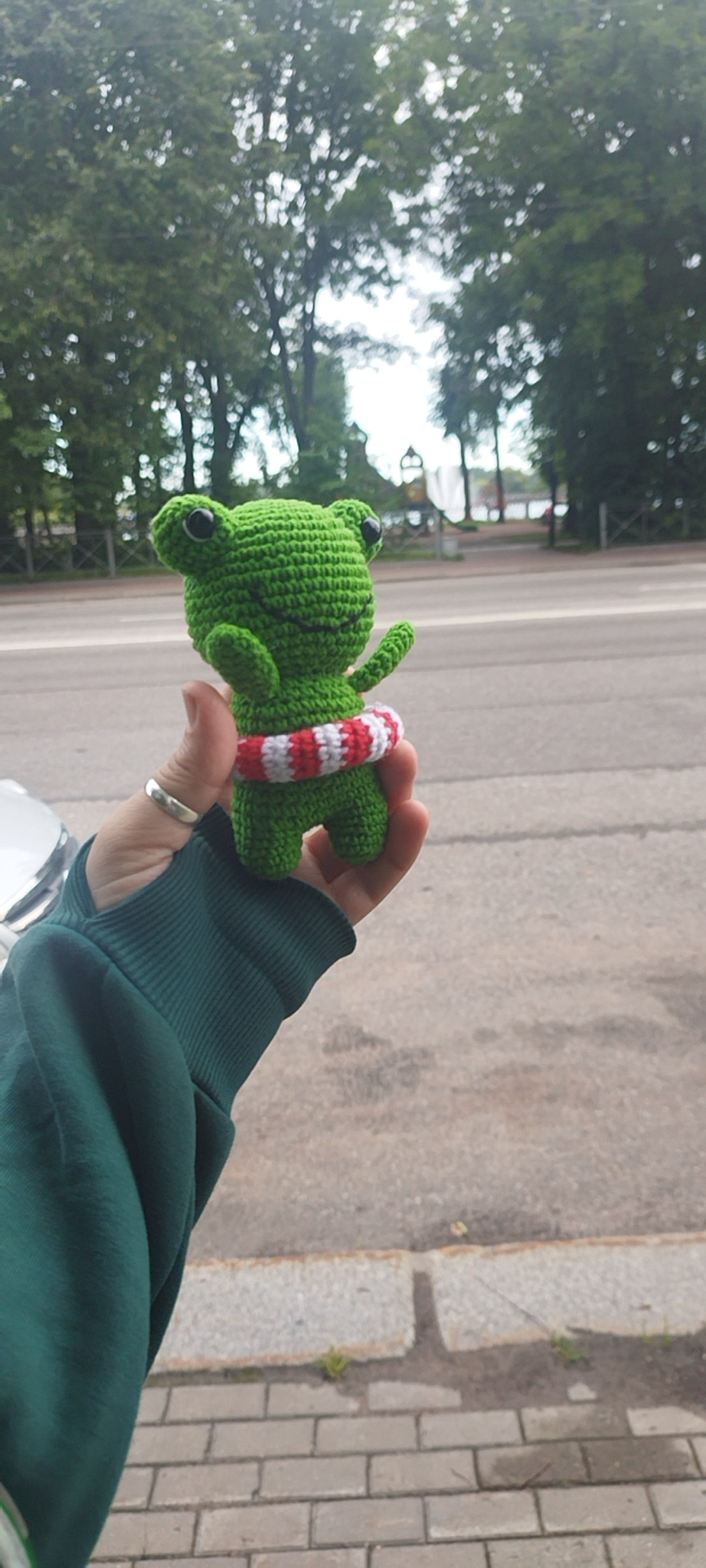 Wednesday and the frog - My, Knitted toys, Crochet, Amigurumi, Toys, Soft toy, Frogs, Wednesday, Longpost, Needlework without process, Mobile photography