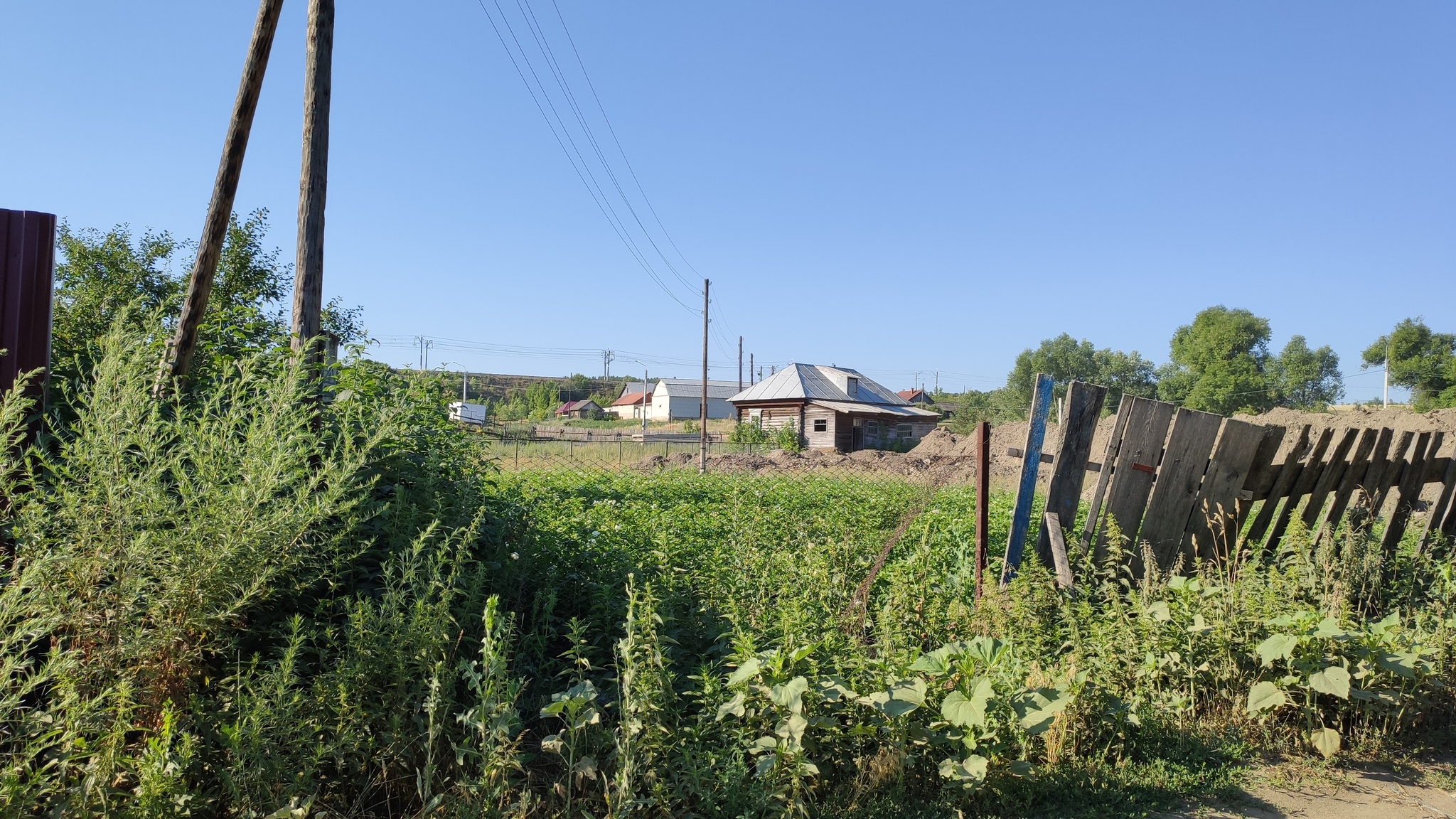 We went to the village of Bolshoy Chirkley and were surprised! Let's walk 1000 kilometers with the dog from Samara to Moscow! - My, Tatars, Travels, Tourism, Hiking, Travel across Russia, Road trip, Ulyanovsk region, Village, Longpost