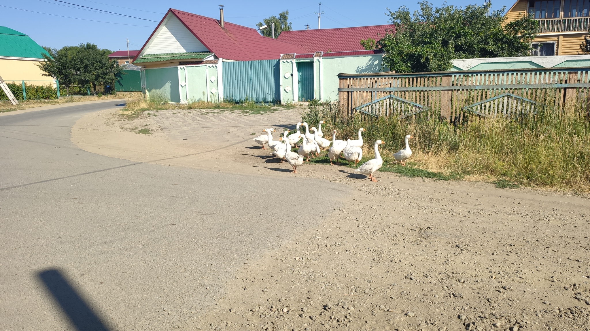 We went to the village of Bolshoy Chirkley and were surprised! Let's walk 1000 kilometers with the dog from Samara to Moscow! - My, Tatars, Travels, Tourism, Hiking, Travel across Russia, Road trip, Ulyanovsk region, Village, Longpost