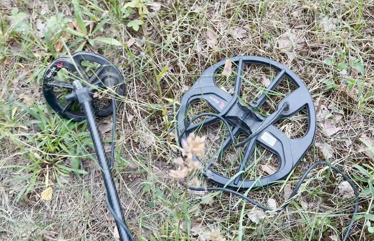 The forest was very pleased with its finds today - My, Find, Search, Forest, Longpost, Metal detector, The photo, Scrap metal