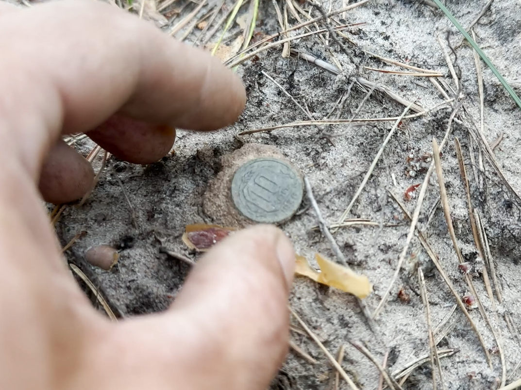 The forest was very pleased with its finds today - My, Find, Search, Forest, Longpost, Metal detector, The photo, Scrap metal