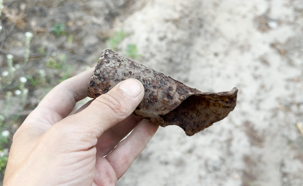 The forest was very pleased with its finds today - My, Find, Search, Forest, Longpost, Metal detector, The photo, Scrap metal