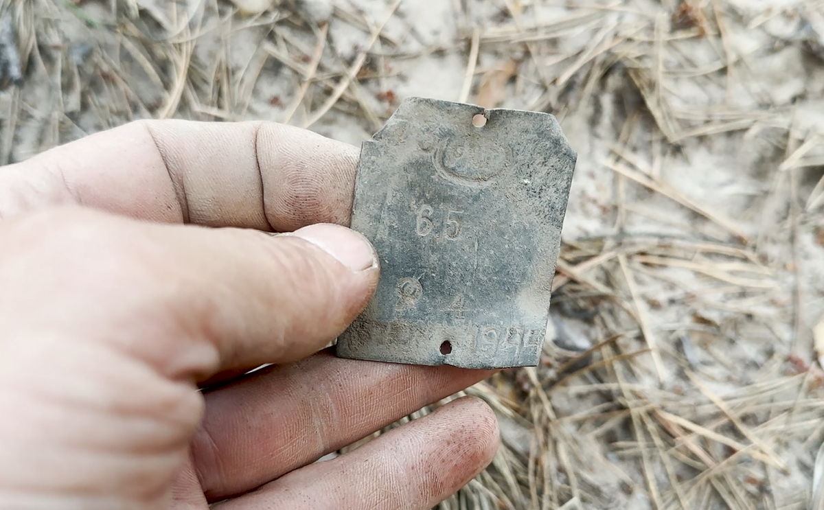 The forest was very pleased with its finds today - My, Find, Search, Forest, Longpost, Metal detector, The photo, Scrap metal