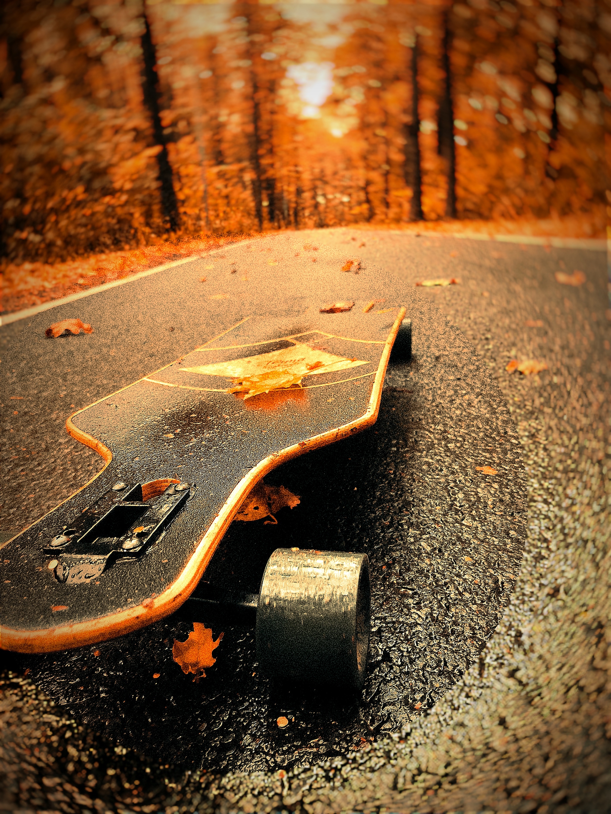 Reply to the post “Cruiser or Longboard?” - Skate, Longboard, Cruiser, Skateboarding, Text, Reply to post, Longpost