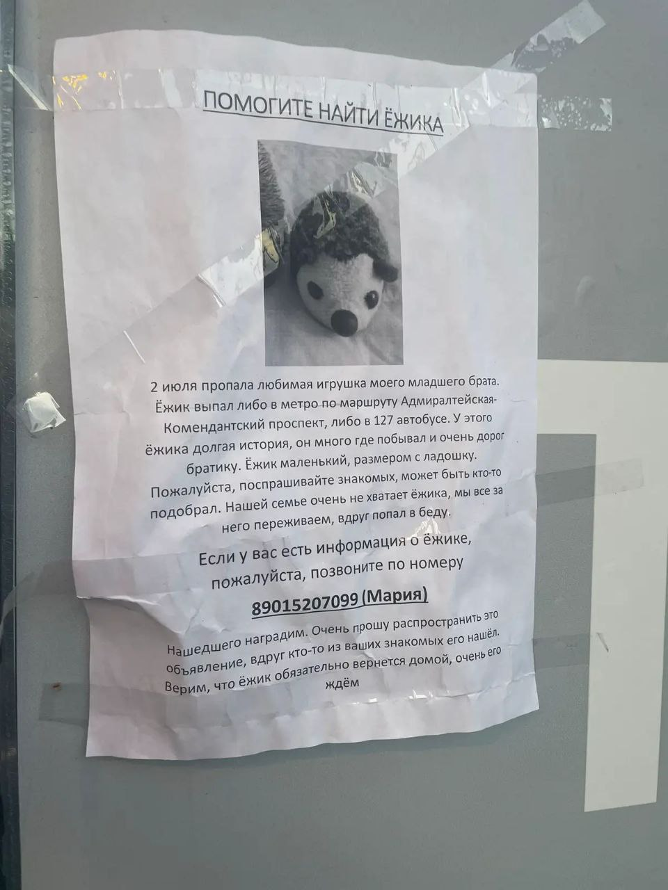 Lost Hedgehog, Peter - Announcement, Help, Saint Petersburg, Admiralty, Komendantsky Prospekt, Children, No rating, Help me find, Lost, Search, Soft toy