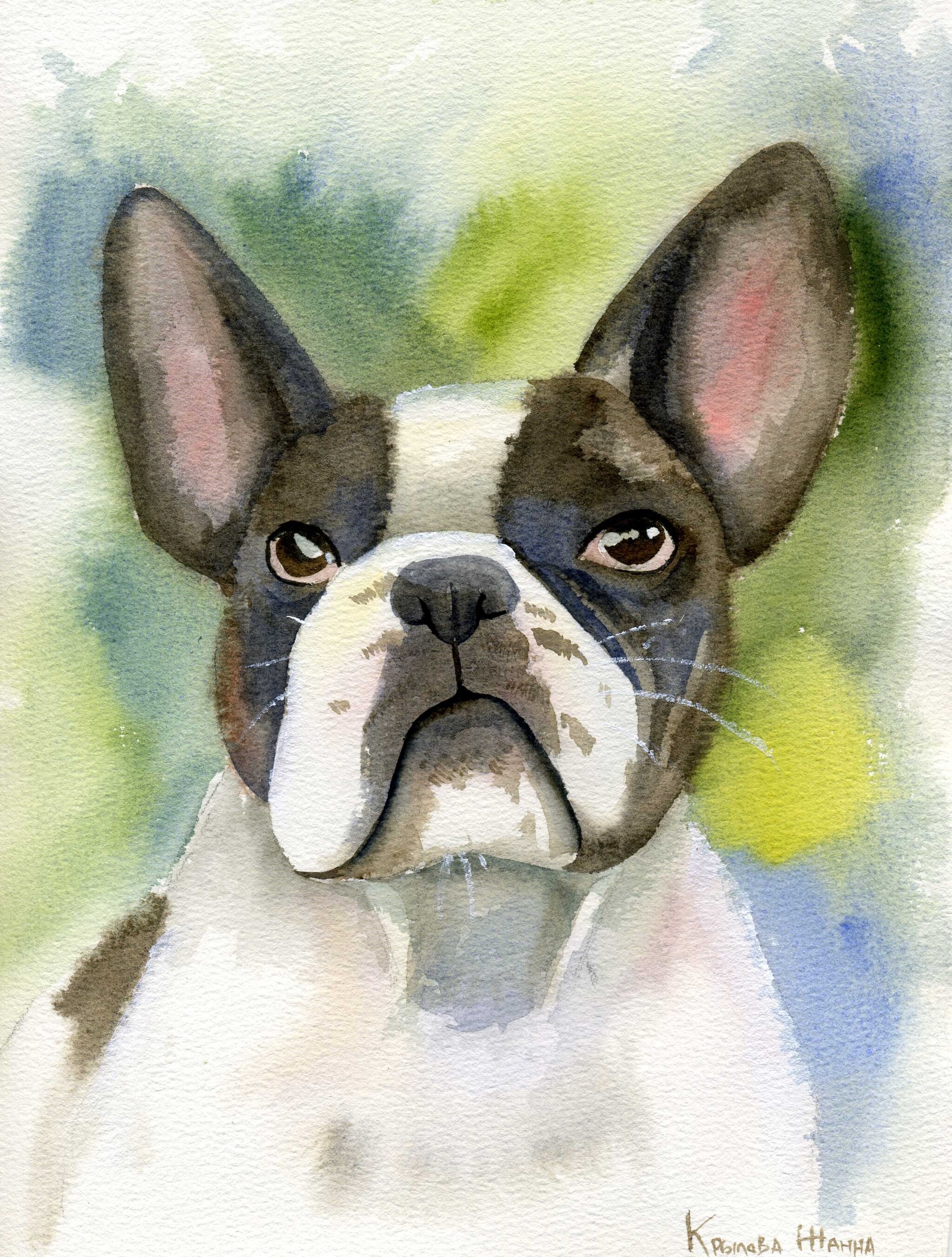 Showing watercolor animals - My, Watercolor, cat, Dog, Creation, Drawing, Animalistics, Longpost