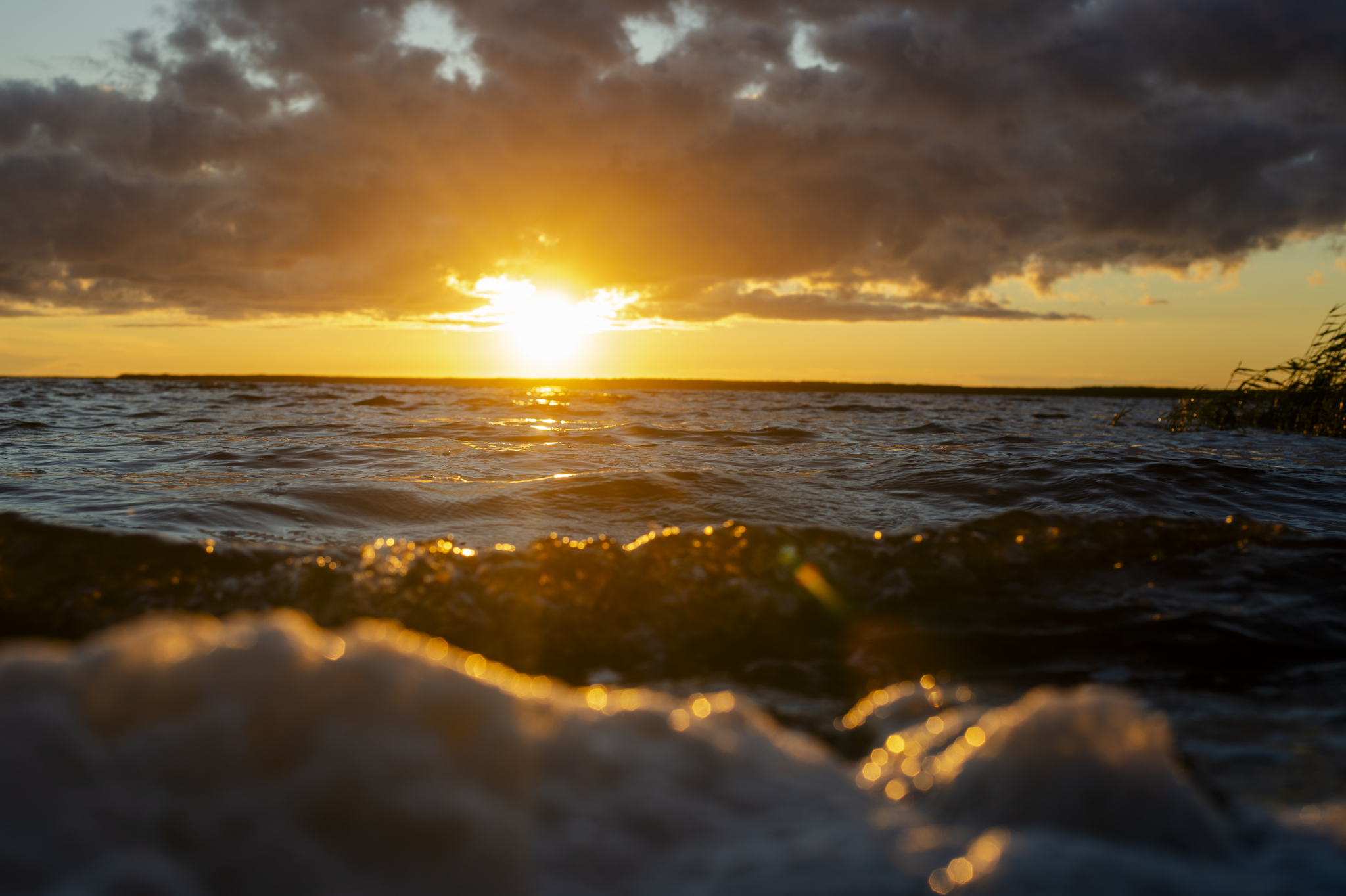 Northern, sunset - My, The photo, Landscape, The nature of Russia, White Sea, Sunset, Longpost