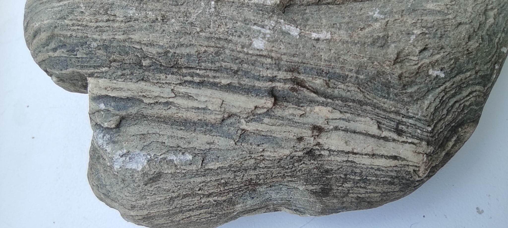 Petrified wood? - My, Minerals, Geology, Question, Ask Peekaboo, What's this?