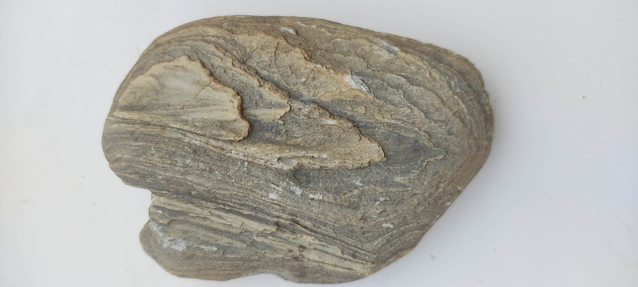 Petrified wood? - My, Minerals, Geology, Question, Ask Peekaboo, What's this?