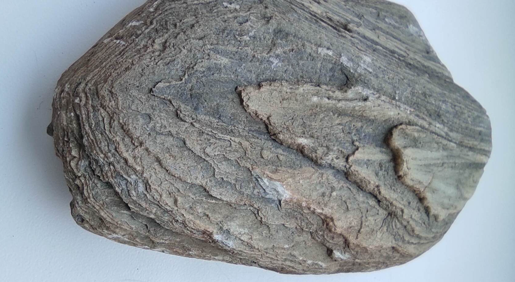 Petrified wood? - My, Minerals, Geology, Question, Ask Peekaboo, What's this?