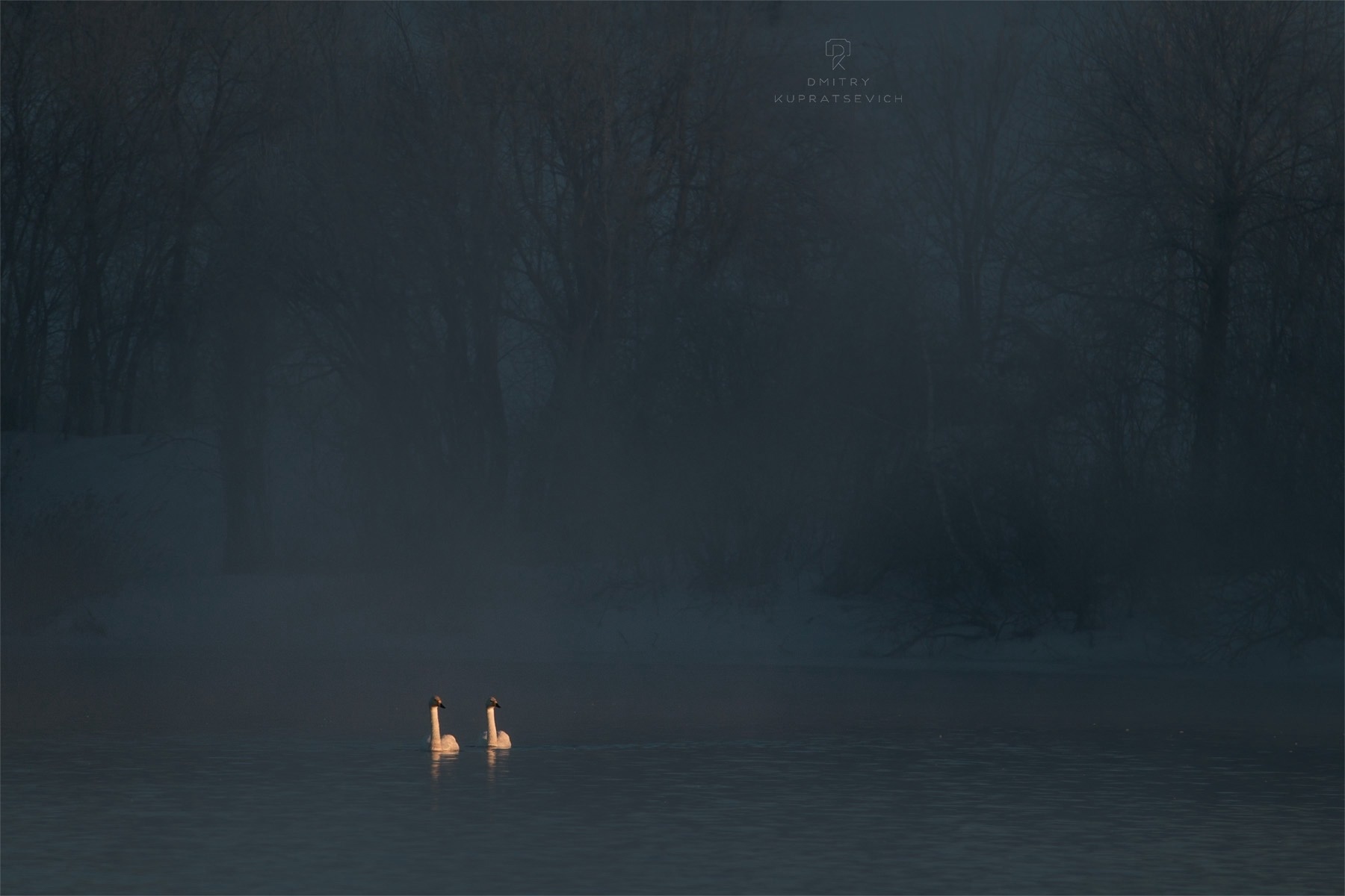 Amazing non-freezing Swan (Light) Lake. Where is it located and how to get there? - Road trip, Туристы, Tourism, Travels, Travel across Russia, Altai Republic, Drive, sights, Route, Telegram (link), Yandex Zen (link), VKontakte (link), Longpost, Lake, Swans, The photo