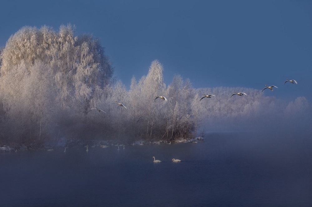 Amazing non-freezing Swan (Light) Lake. Where is it located and how to get there? - Road trip, Туристы, Tourism, Travels, Travel across Russia, Altai Republic, Drive, sights, Route, Telegram (link), Yandex Zen (link), VKontakte (link), Longpost, Lake, Swans, The photo