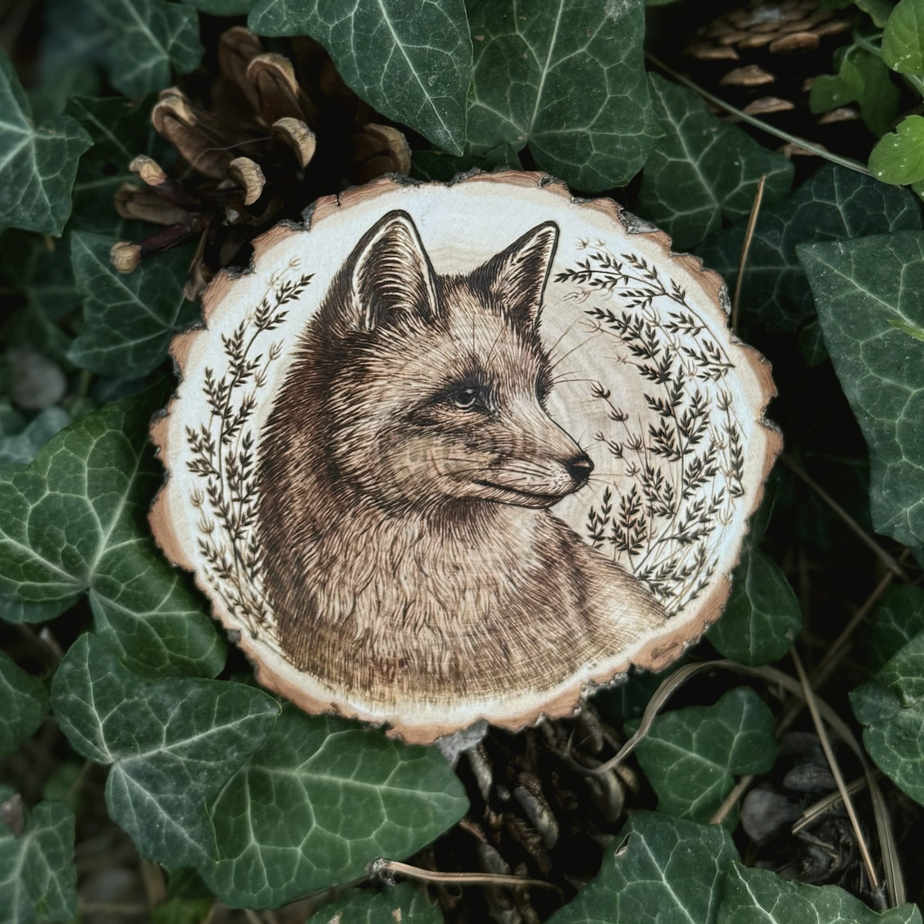 Fox, wood burning - My, Pyrography, Handmade, Woodworking, Fox, Hobby, Longpost, Needlework without process