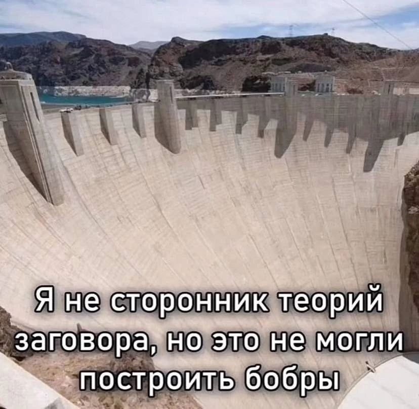 Conspiracy theory - Picture with text, Humor, Теория заговора, Beavers, Dam, Repeat