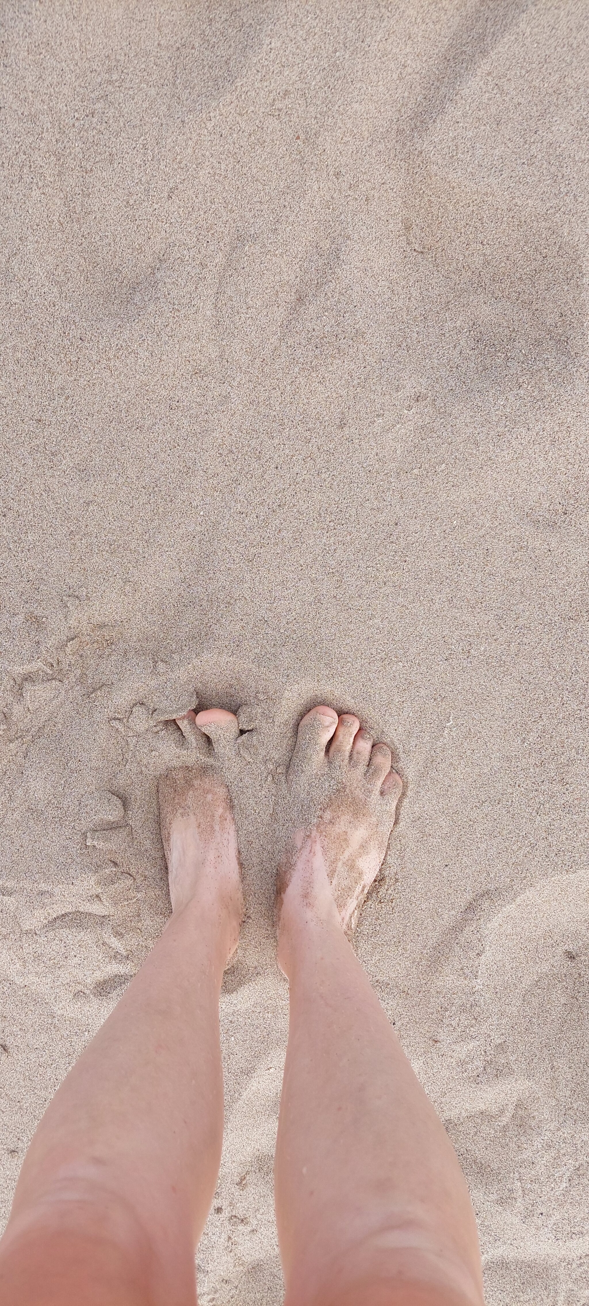 Reply to the post “The incident occurred on the beach in Dagestan” - My, Dagestan, Beach, Туристы, Local, Reply to post, Longpost, Arkhangelsk region, River