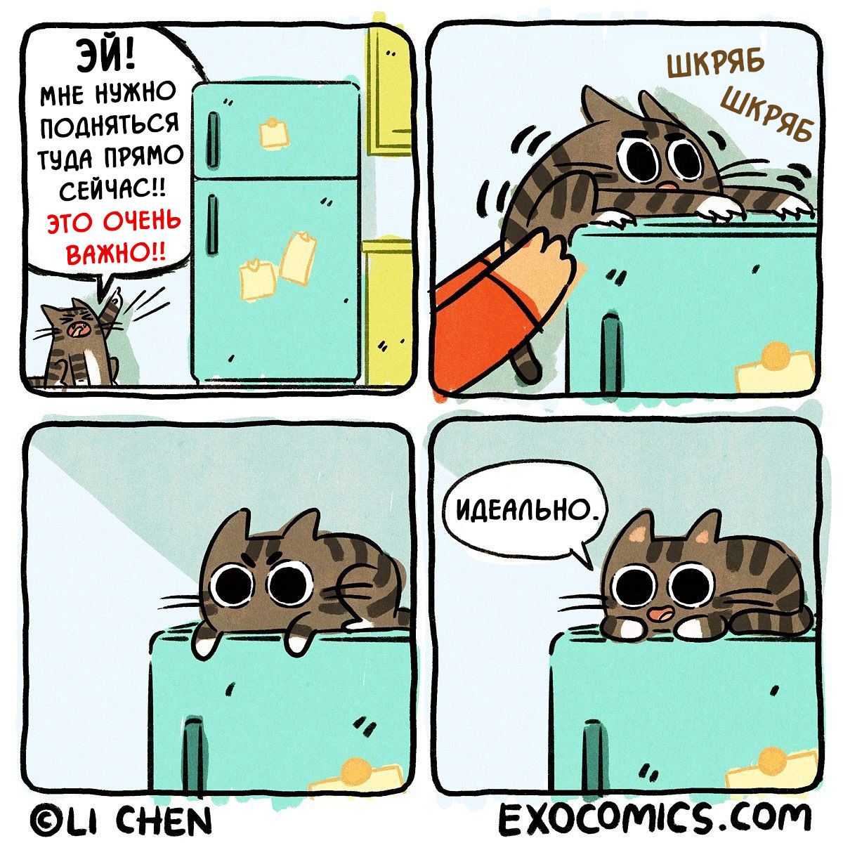 Ascension to the throne - My, Comics, Translated by myself, cat, Refrigerator, Throne, Exocomics