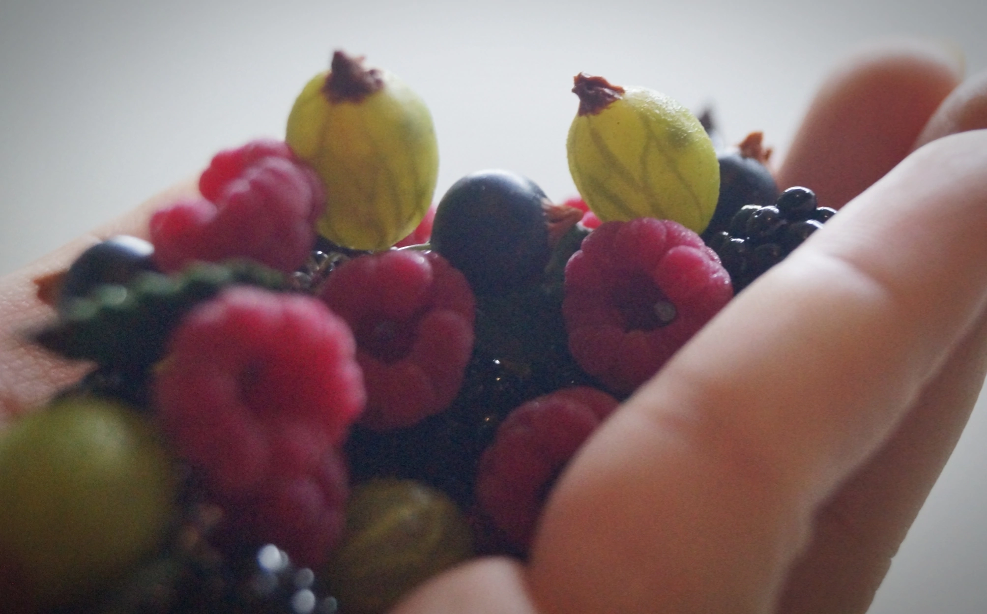 Bracelet with berries - My, Polymer clay, Friday tag is mine, Berries, A bracelet, Handmade, Longpost, Needlework without process