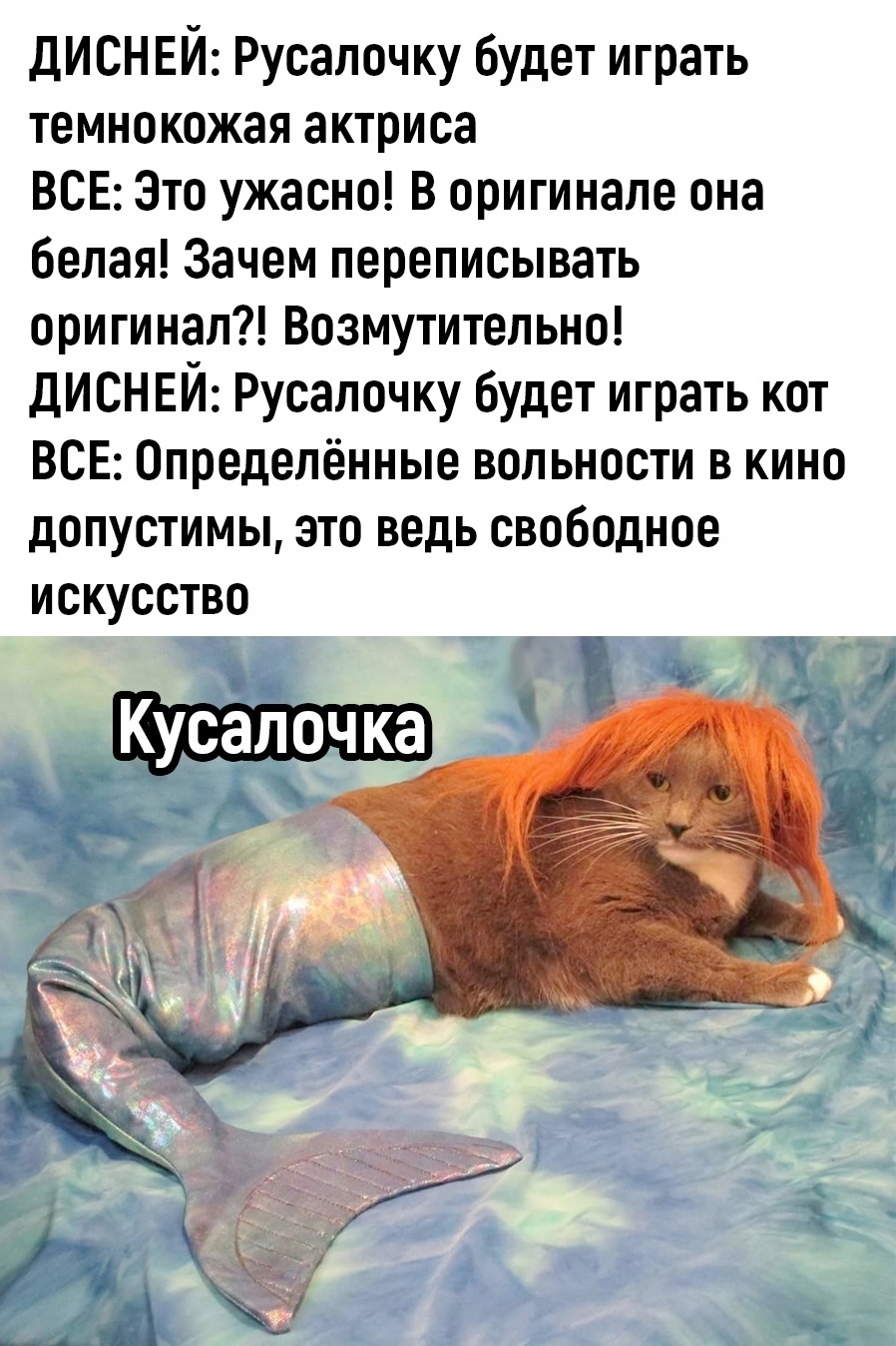 Kusalochka - Humor, Picture with text, the little Mermaid, cat, Repeat