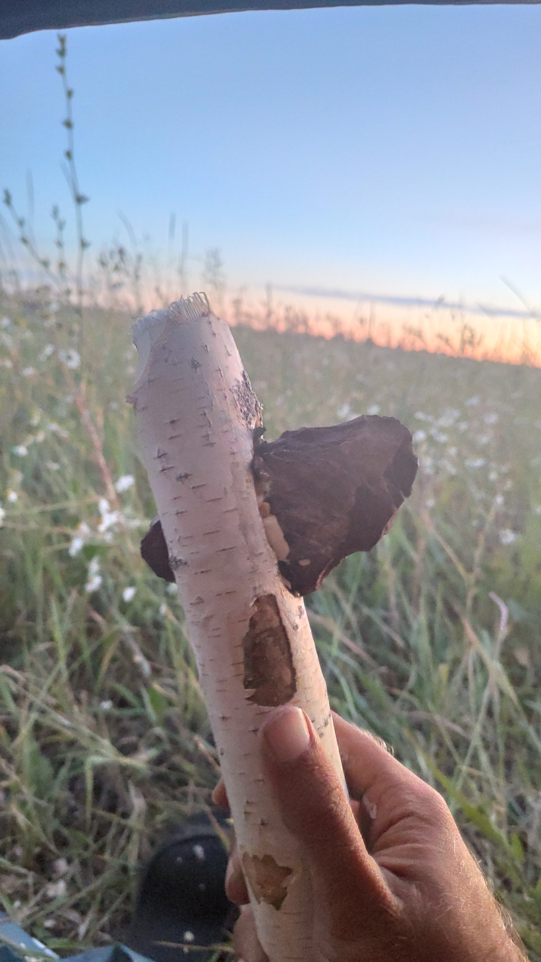 I'm walking 1000 km with my dog, today I overloaded my left leg and started making a stone axe! I only use stone tools when traveling. - My, Travels, Travel across Russia, Hiking, Tourism, Survival, Longpost