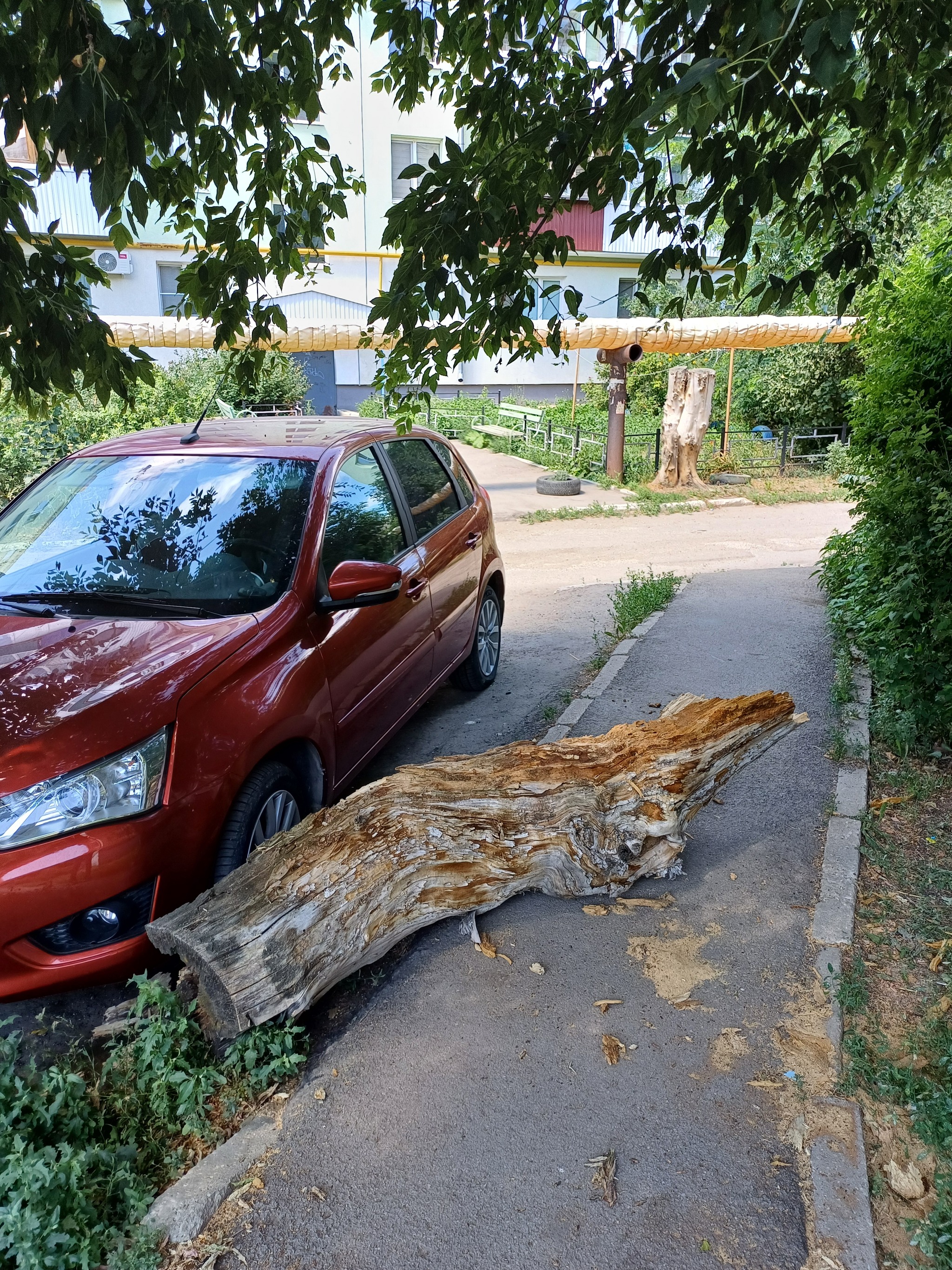 Lucky - My, Luck, Auto, Longpost, Courtyard, The photo