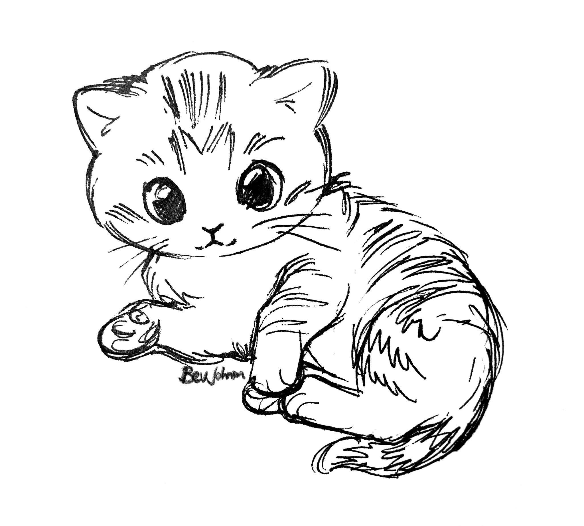 Regular cute kittens - cat, Kittens, Cat family, Small cats, Cat lovers, Fluffy, Art, Drawn, Paws, Animals, Pets, Milota