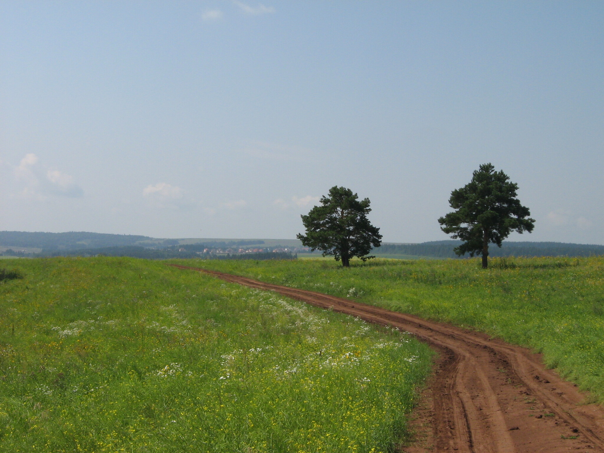 Nature of the Perm region - Kama and the road - My, Travels, Nature, The photo