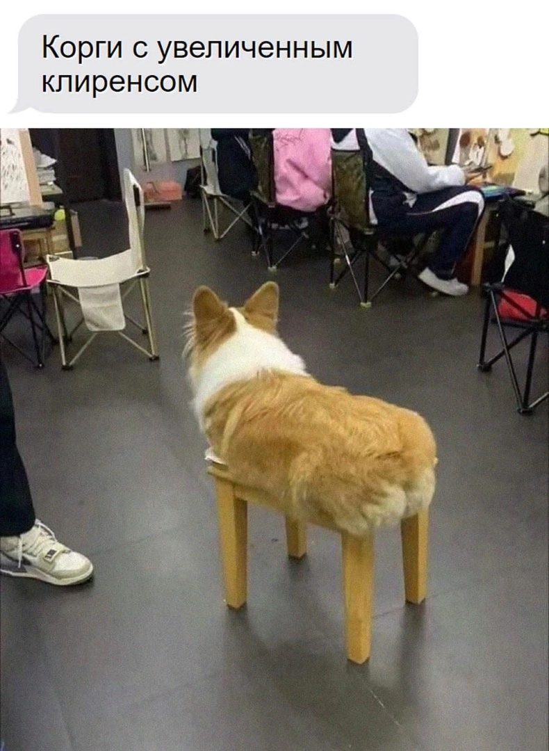 1720863760223784947.png