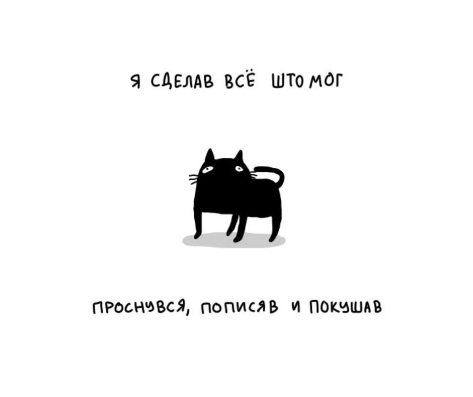 На сегодня достаточно - Забавное, Юмор, Скриншот, Картинка с текстом, Кот