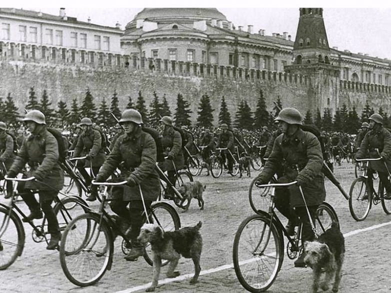 Soviet anti-tank kamikaze dogs - Dog, Bomber, The Great Patriotic War, The Second World War, the USSR, Made in USSR, The soldiers, Military history, Life stories, Memory, Heroes, The photo, Youtube, Video, YouTube (link), Longpost