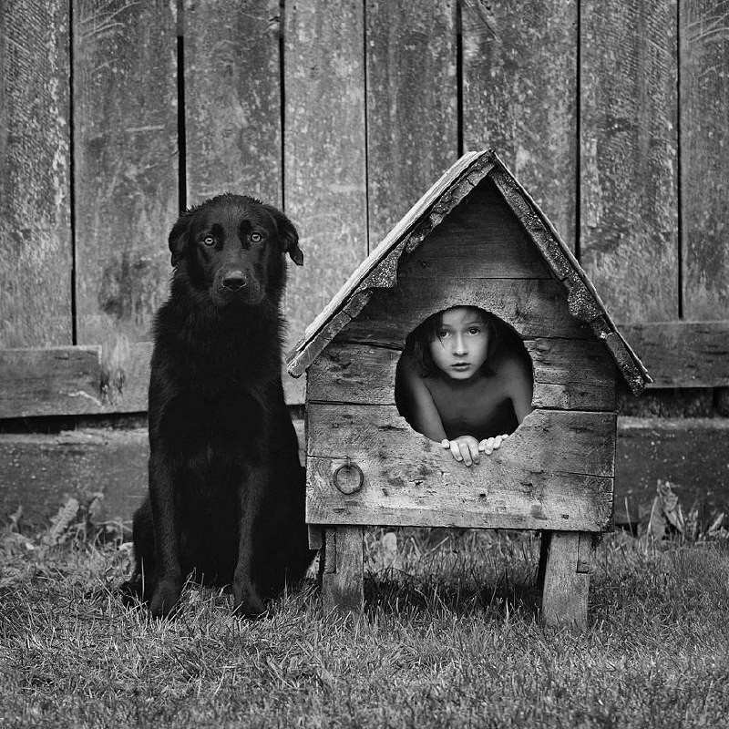 Себастьян Лучиво (Sebastian Luczywo) - польский фотограф, известный своими креативными и оригинальными семейными фотографиями - Кросспостинг, Pikabu publish bot