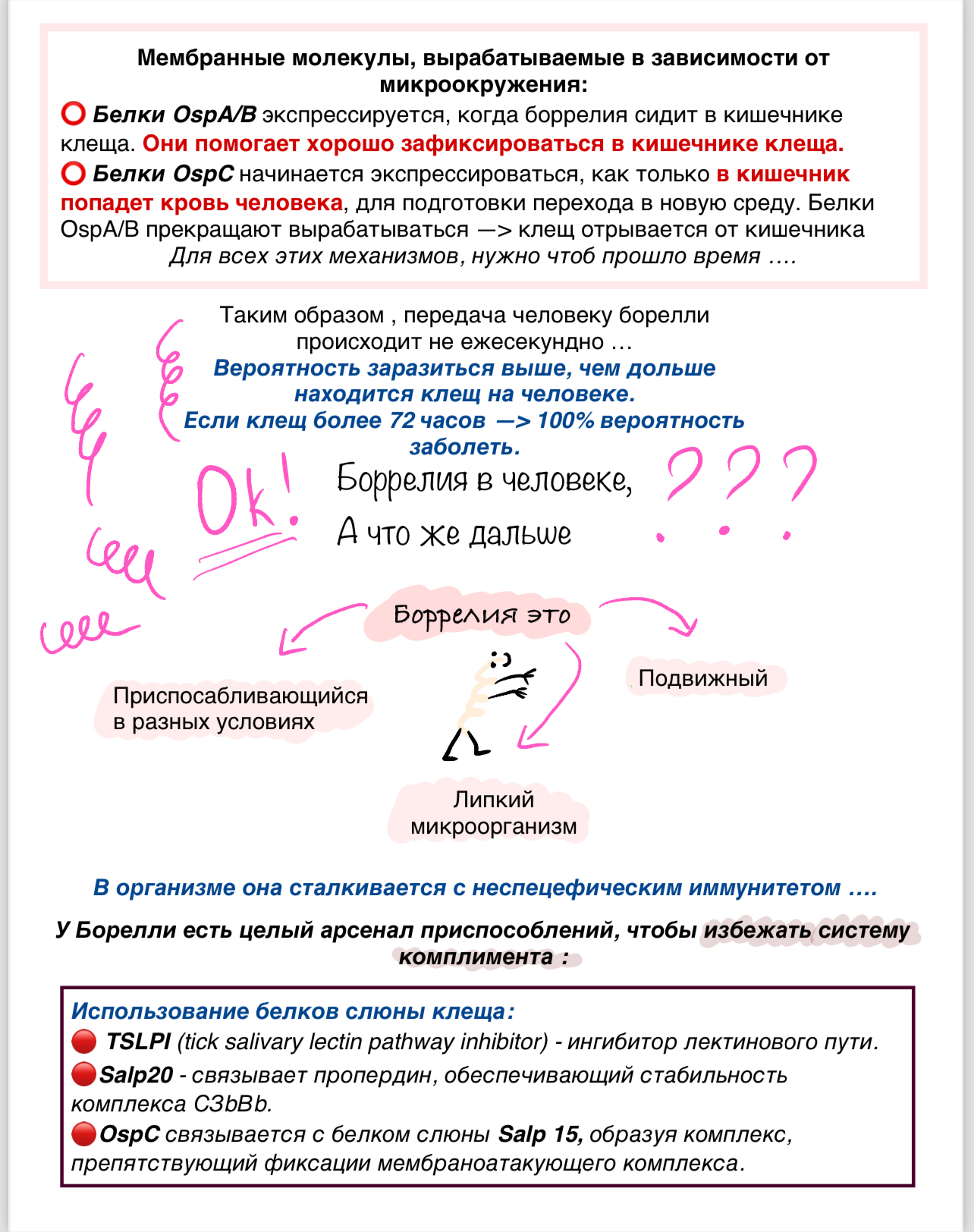 Клещевые инфекции - Медицина, Конспект, Без рейтинга, Шпаргалка, Длиннопост