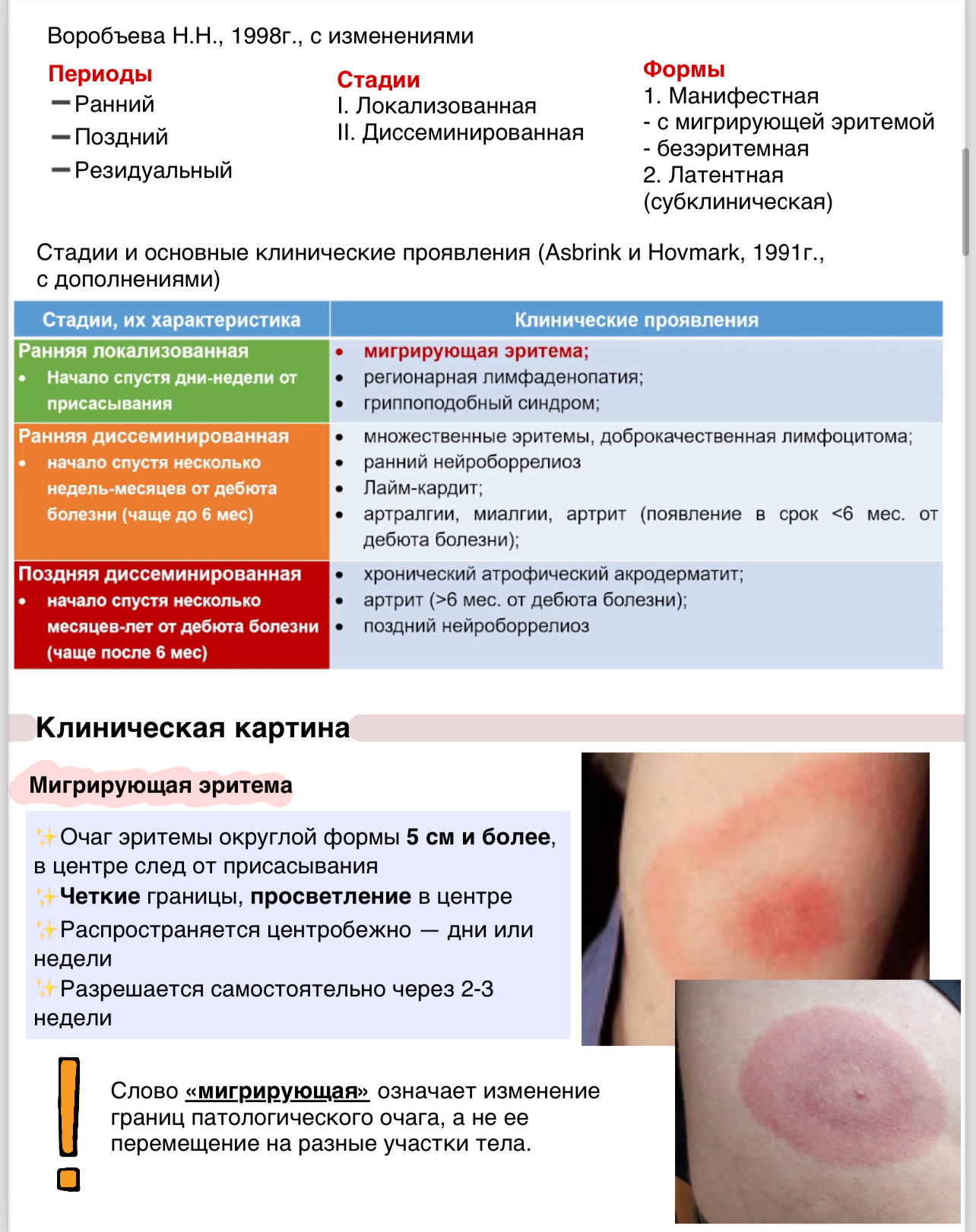 Клещевые инфекции - Медицина, Конспект, Без рейтинга, Шпаргалка, Длиннопост