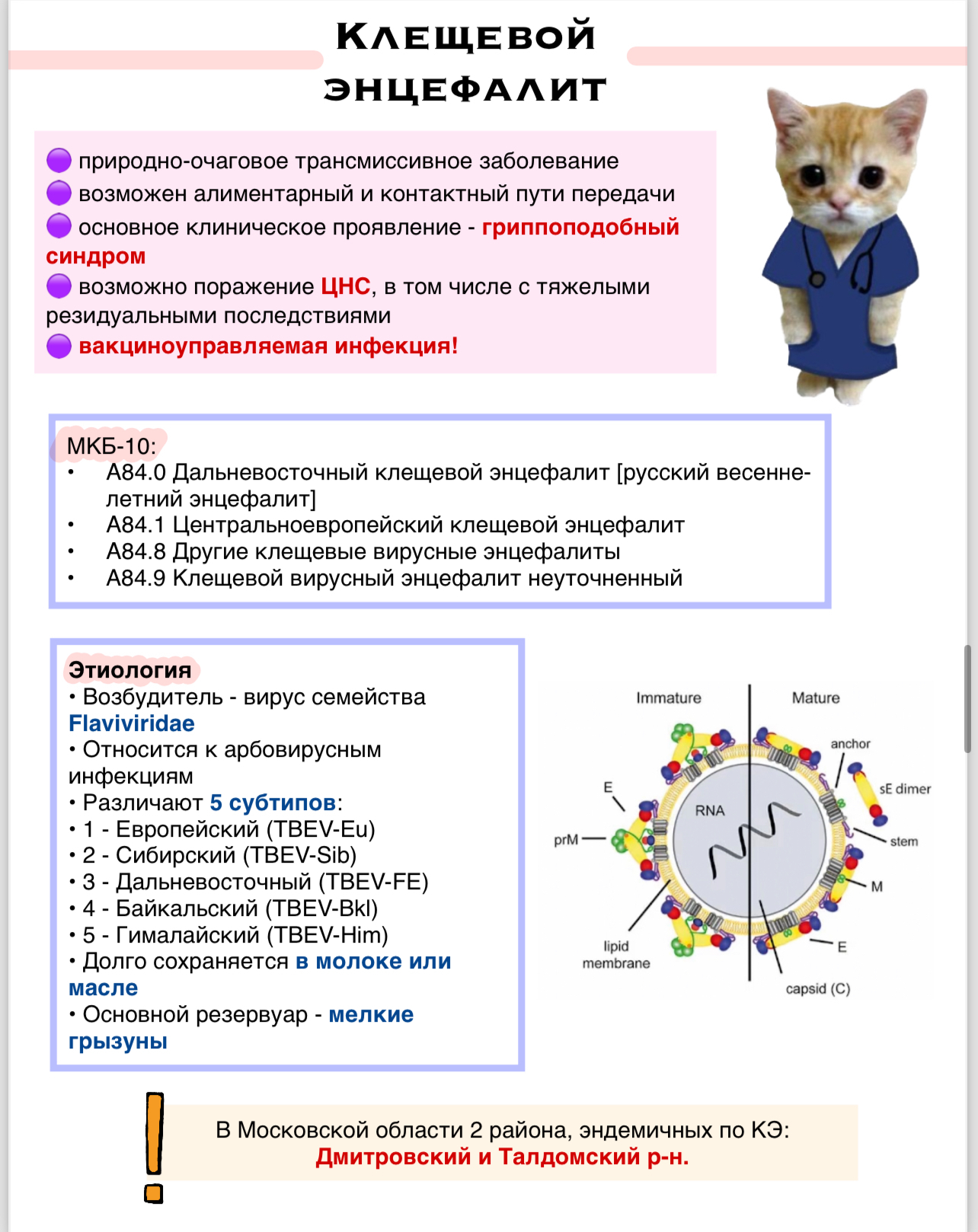 Клещевые инфекции - Медицина, Конспект, Без рейтинга, Шпаргалка, Длиннопост