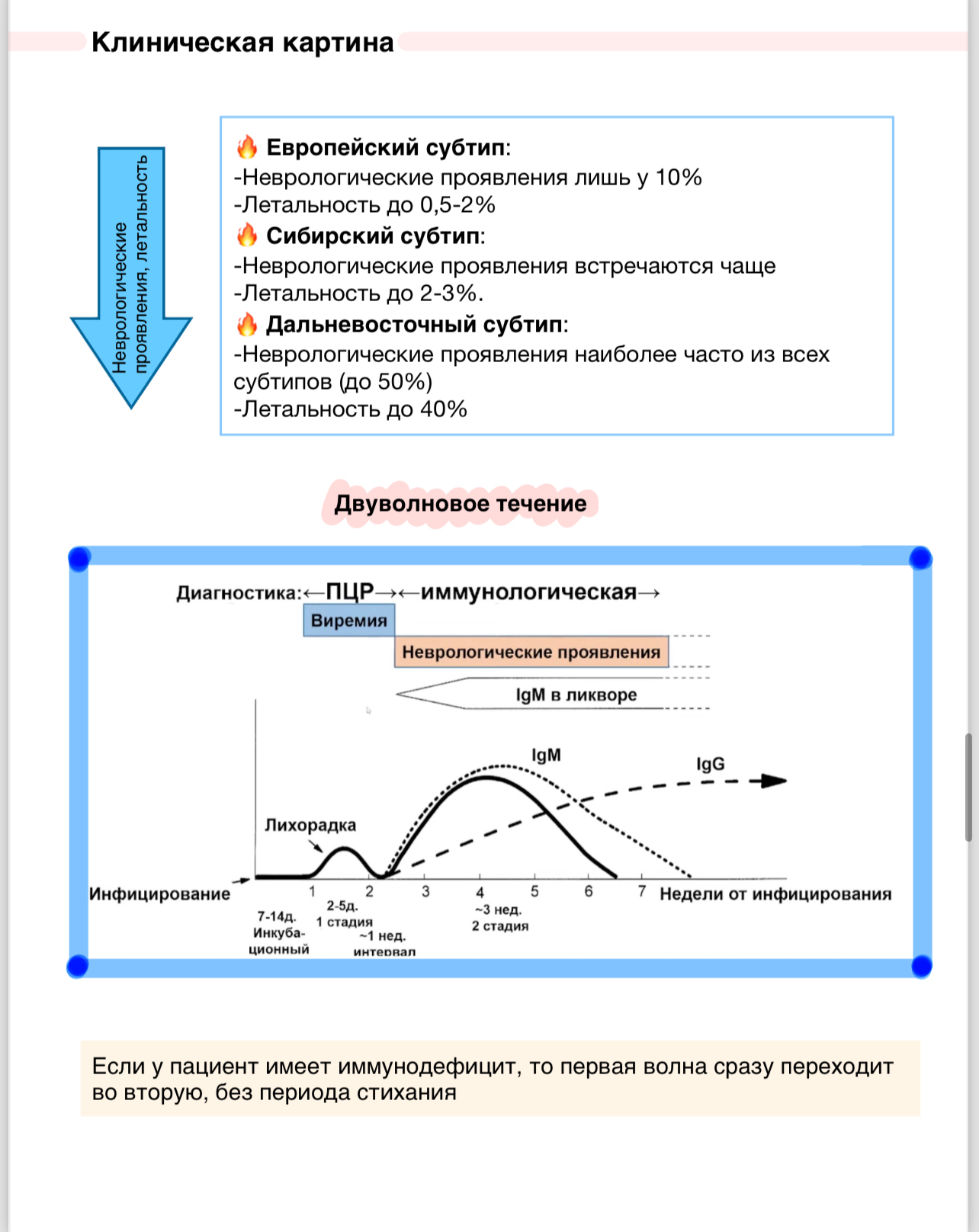 Клещевые инфекции - Медицина, Конспект, Без рейтинга, Шпаргалка, Длиннопост