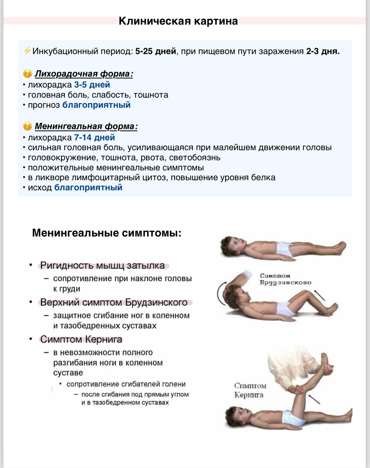 Клещевые инфекции - Медицина, Конспект, Без рейтинга, Шпаргалка, Длиннопост