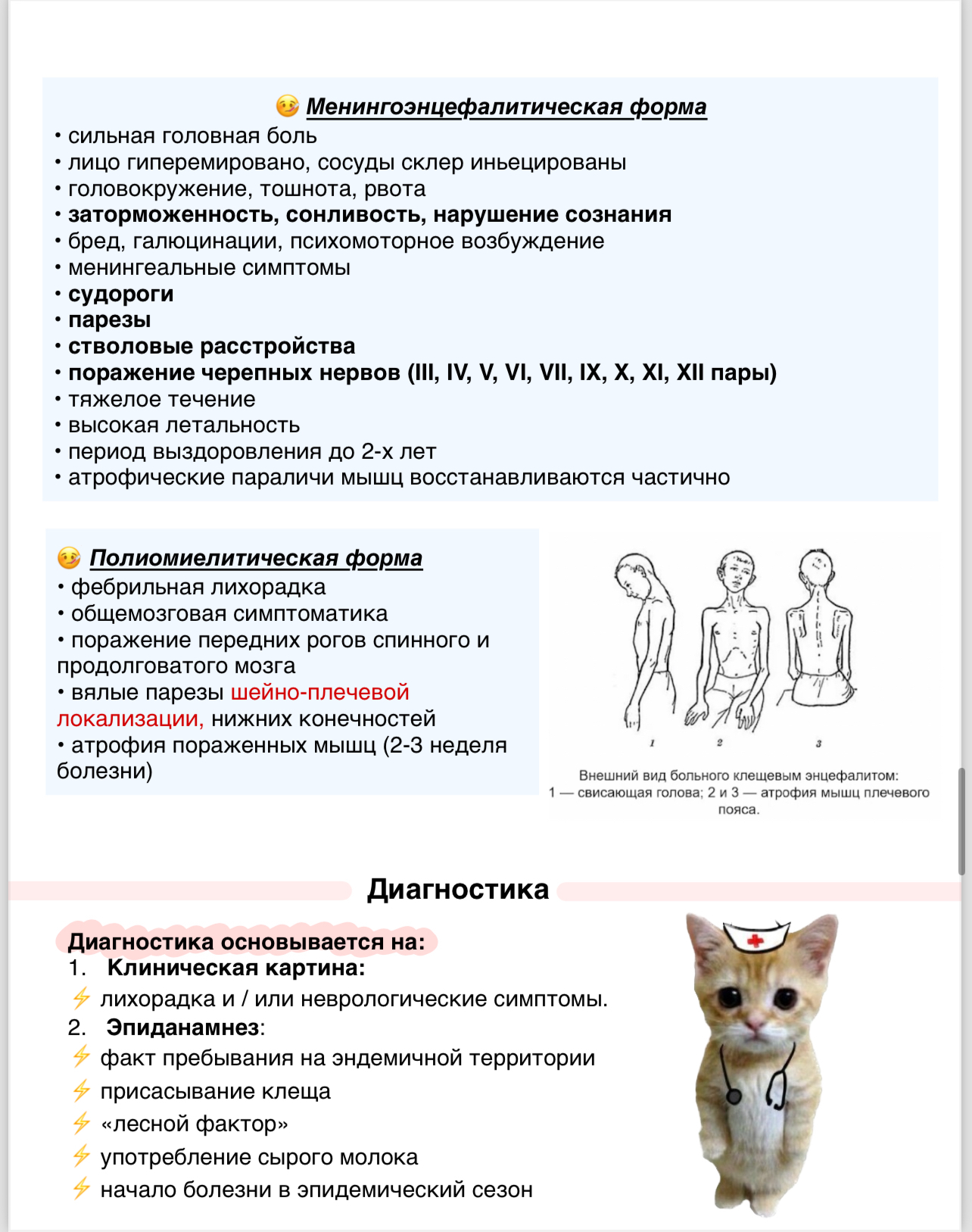 Клещевые инфекции - Медицина, Конспект, Без рейтинга, Шпаргалка, Длиннопост