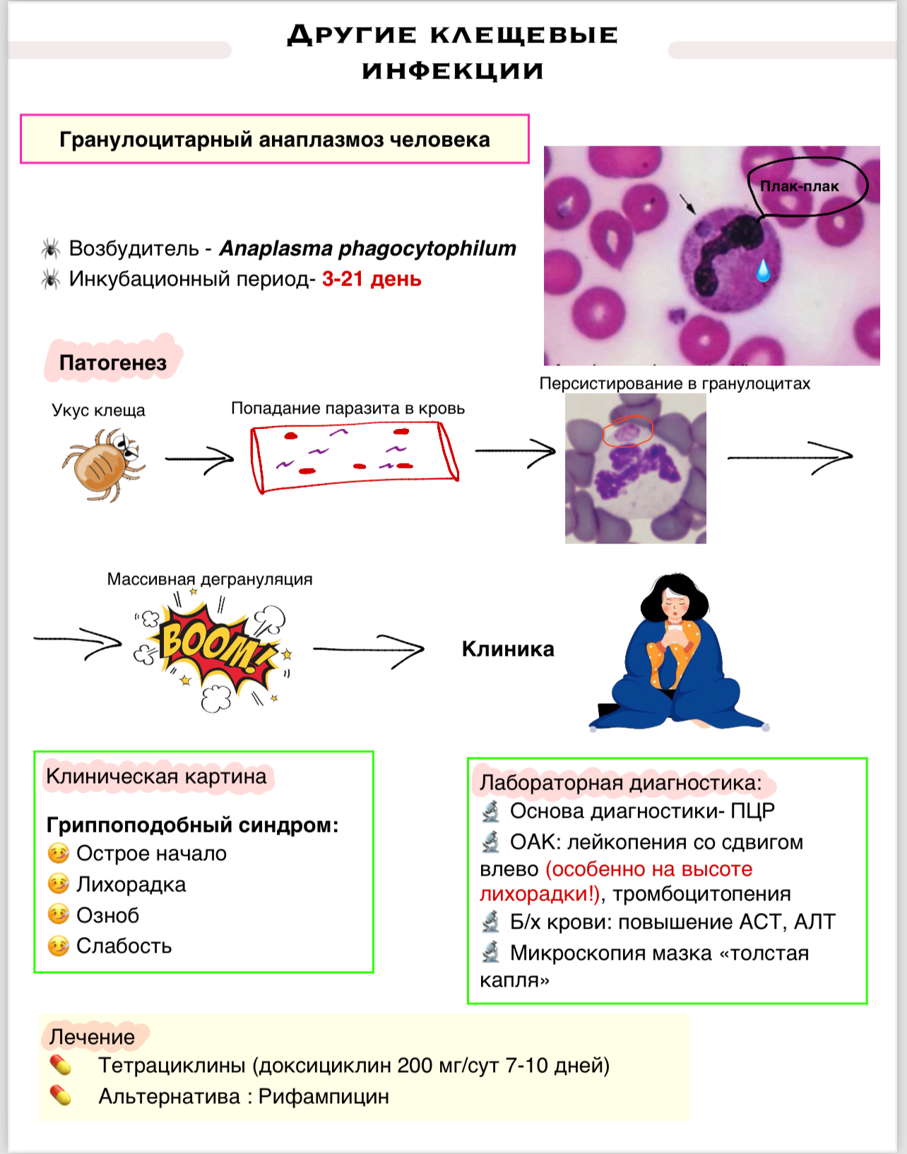 Клещевые инфекции - Медицина, Конспект, Без рейтинга, Шпаргалка, Длиннопост