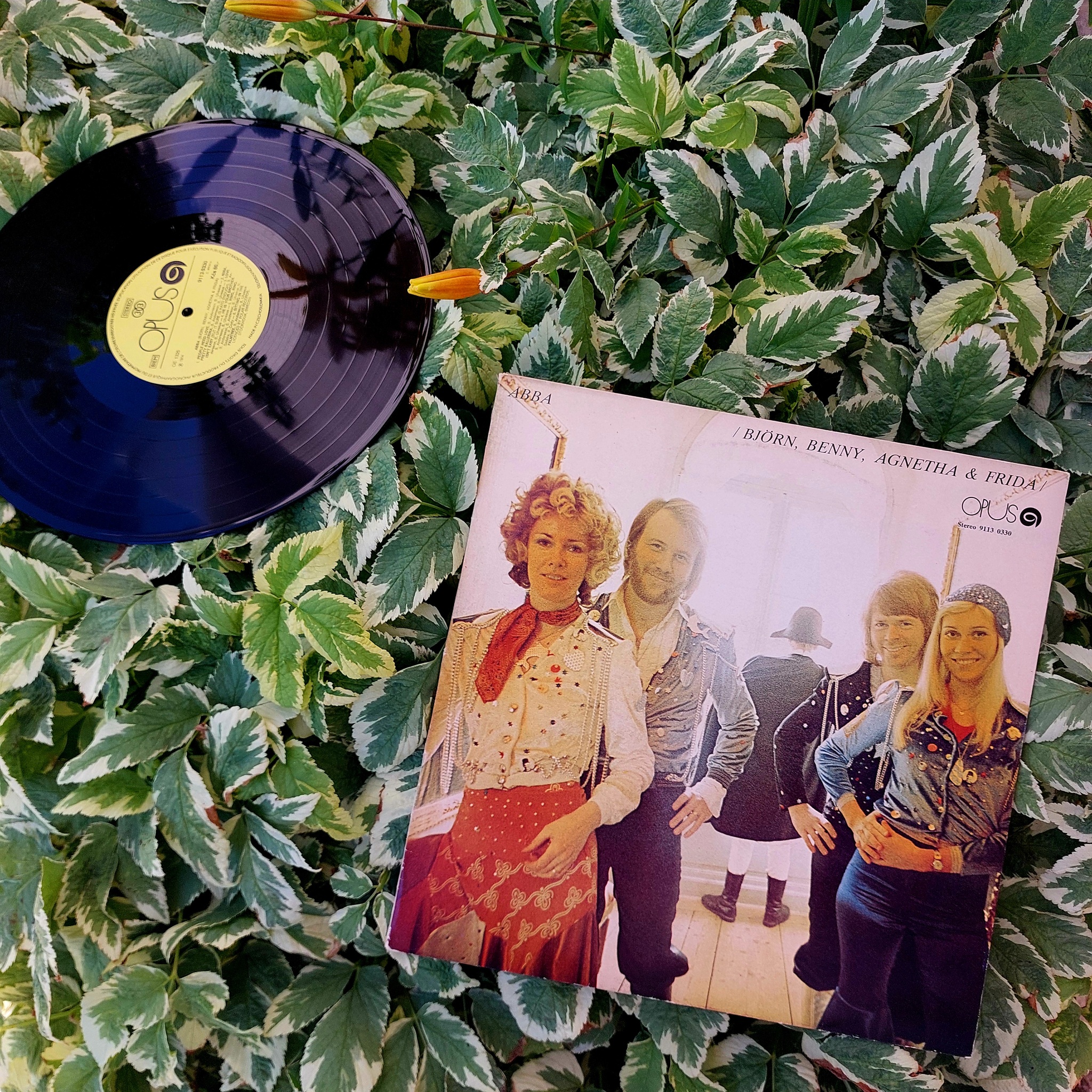 ABBA - Bjorn, Benny, Agnetha & Frida - Abba, Waterloo (abba song), Vinyl, Plate, Vinyl records, Mobile photography