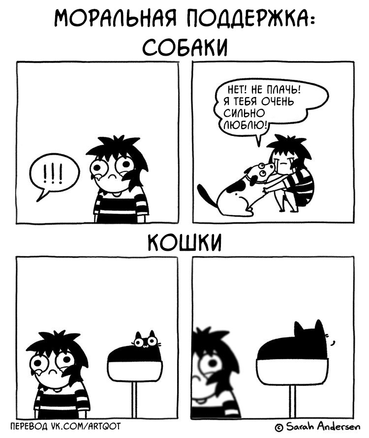 Support - My, Comics, Translated by myself, cat, Dog, The moral support, Sarah Andersen, Daub time