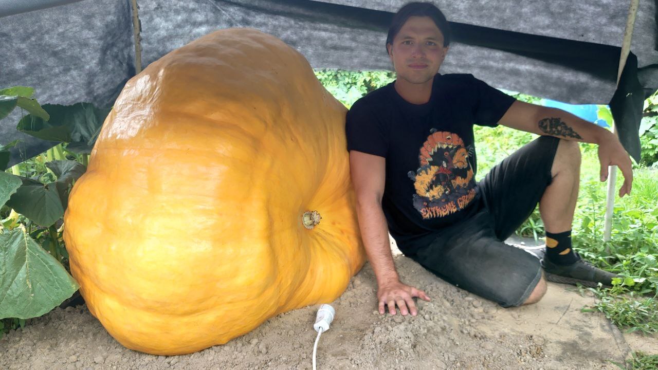 Giant Pumpkin Summary for 7/14/2024 - My, Gardening, Garden, Garden, Plants, Big size, Vegetables, Longpost