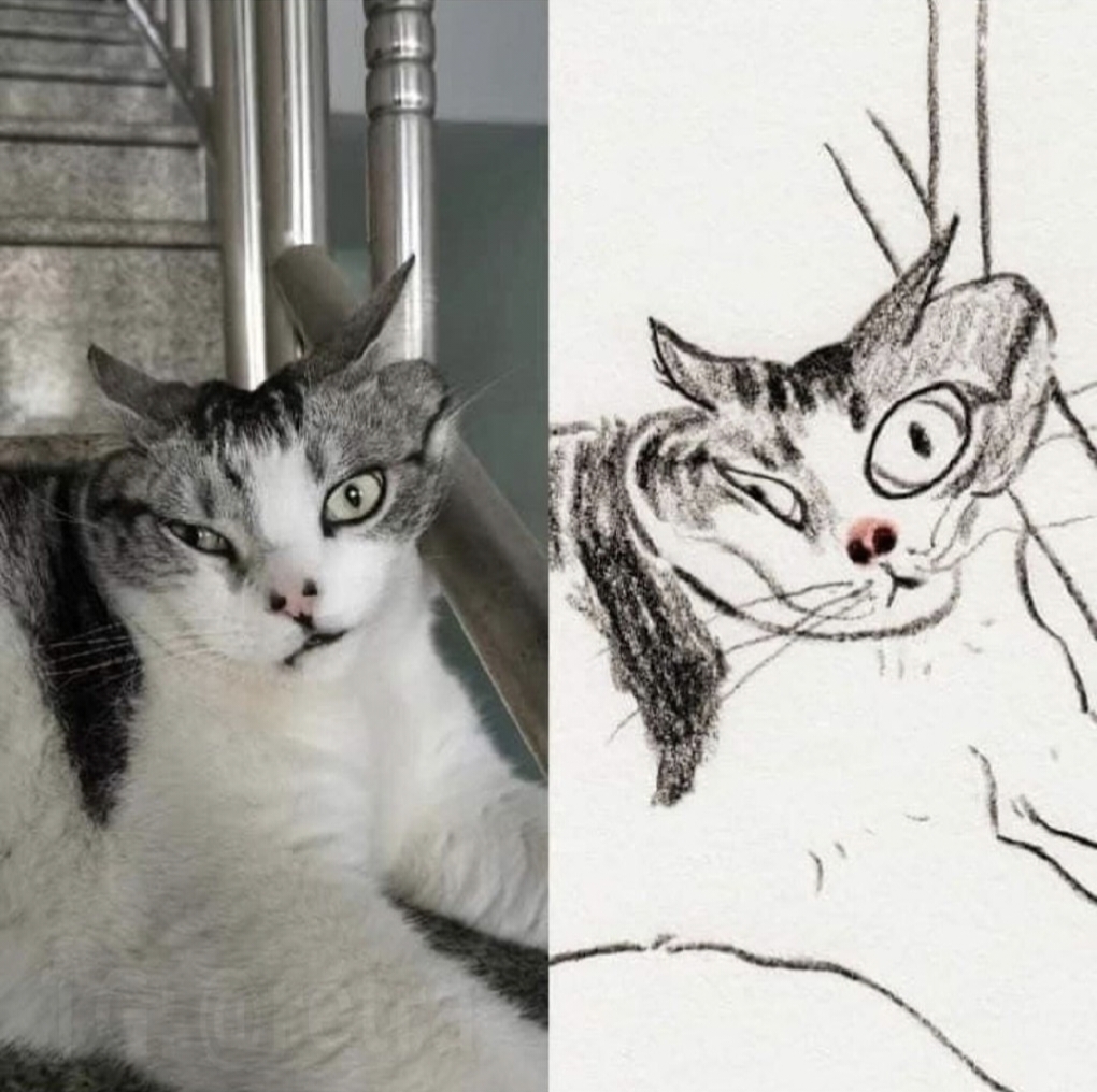 :DD - Memes, cat, Meme Pets, Humor, Pencil drawing, Drawing, Funny animals, Images, The photo, Artist, I'm an artist - that's how I see it, Art, Longpost, A selection