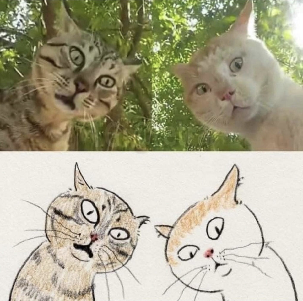 :DD - Memes, cat, Meme Pets, Humor, Pencil drawing, Drawing, Funny animals, Images, The photo, Artist, I'm an artist - that's how I see it, Art, Longpost, A selection