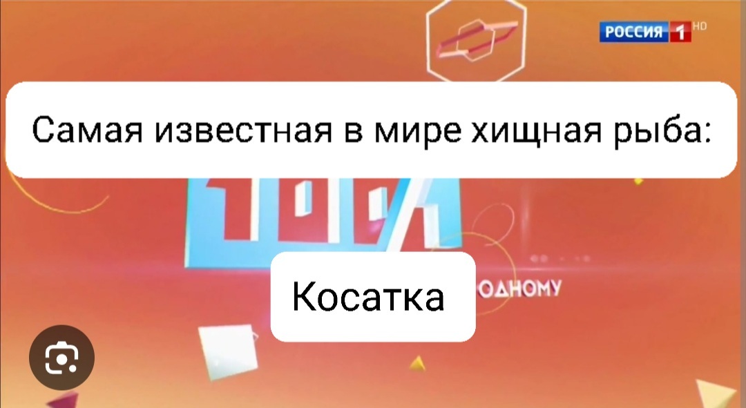 О биологической подкованности общества - Моё, Сто к одному, Биология, Викторина, Эрудиция, Телевидение, Животные, Растения, Юмор, Глупость, Образование, Длиннопост, Картинка с текстом, Подборка