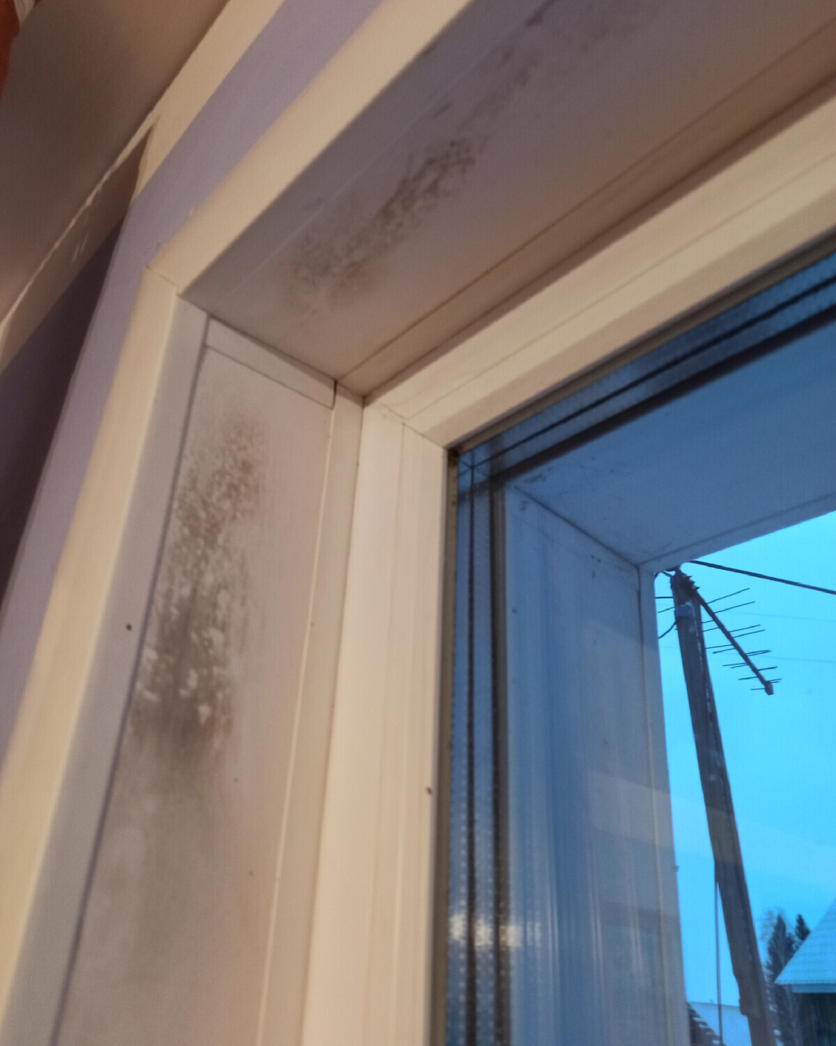 Black mold on plastic windows. Why it occurs and how to remove it - Plastic, PVC windows, Window, Mold, Black mold, Telegram (link)