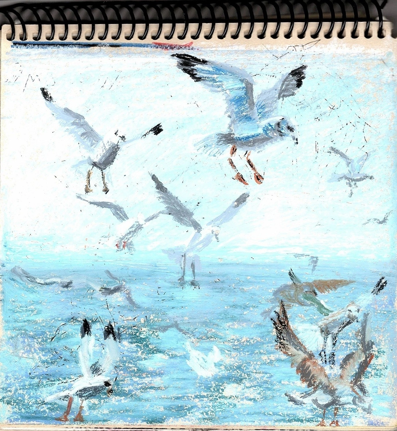 Seagulls, sketch - My, Art, Traditional art, Etude, Birds