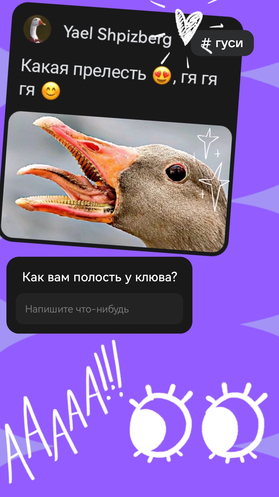 Goose is just a goose - My, ЕЅatec goose, Гусь, Longpost